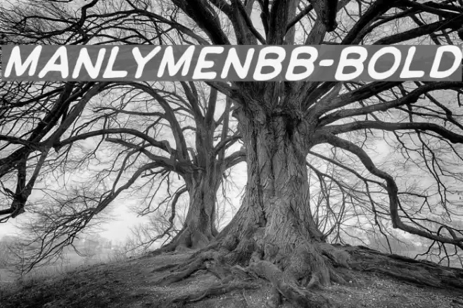 ManlyMenBB-Bold Шрифта examples