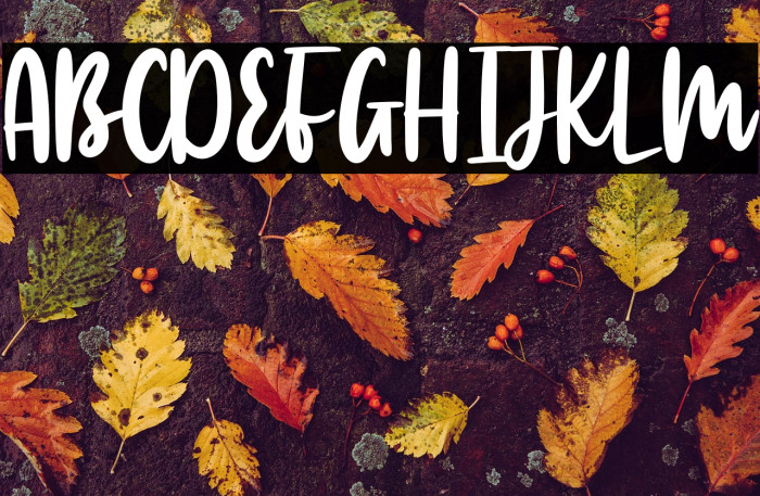 Manlyscript Example 2