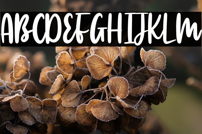 Manlyscript Example 3