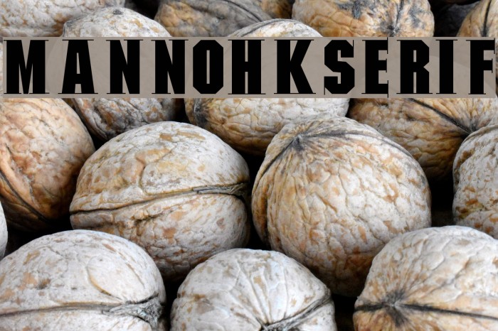 MannohKSerif Font examples