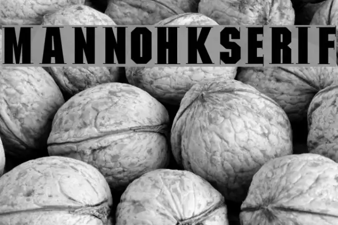 MannohKSerif Example 1