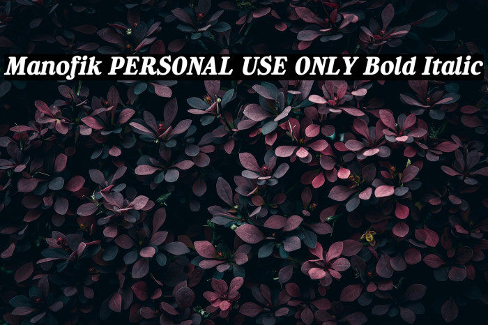 Manofik PERSONAL USE ONLY Bold Italic Example 2