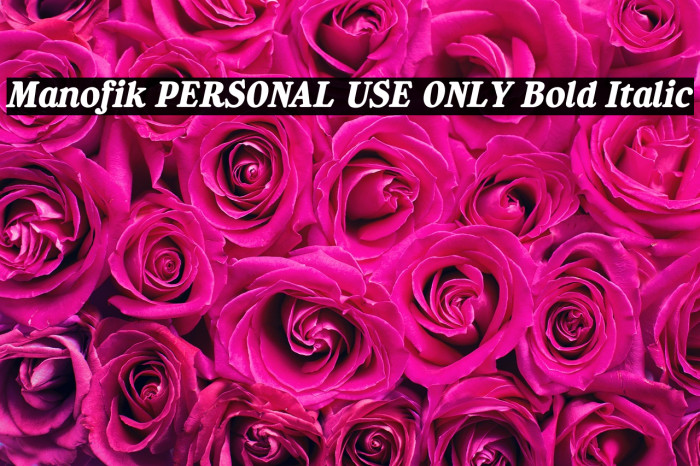 Manofik PERSONAL USE ONLY Bold Italic Example 3