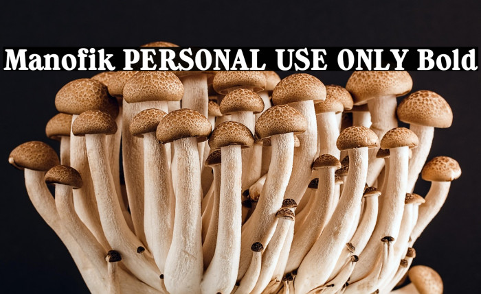 Manofik PERSONAL USE ONLY Bold Example 3