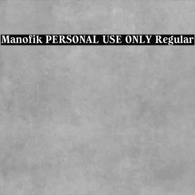 Manofik PERSONAL USE ONLY Regular Example 1