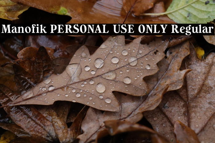 Manofik PERSONAL USE ONLY Regular Example 2