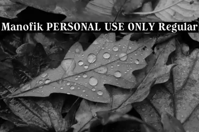 Manofik PERSONAL USE ONLY Regular Example 2