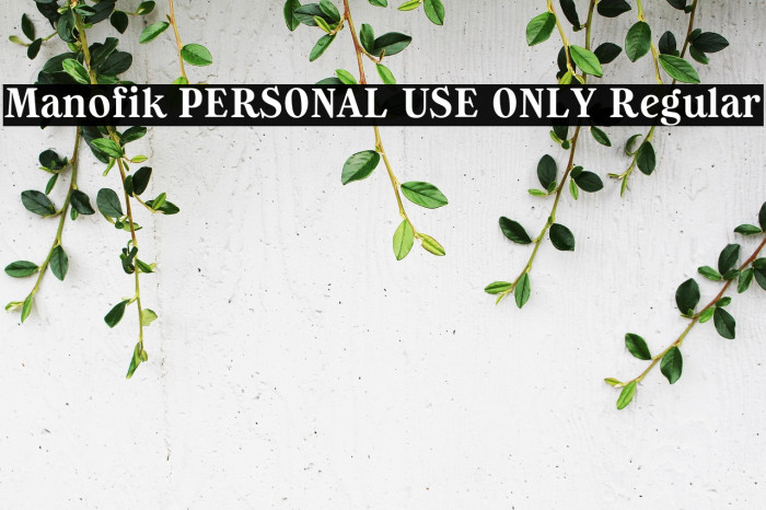 Manofik PERSONAL USE ONLY Regular Example 3