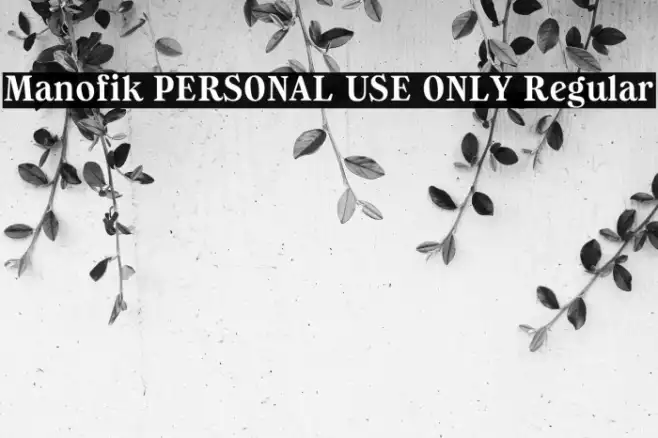 Manofik PERSONAL USE ONLY Regular Example 3