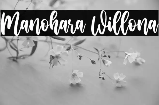Manohara Willona Font examples