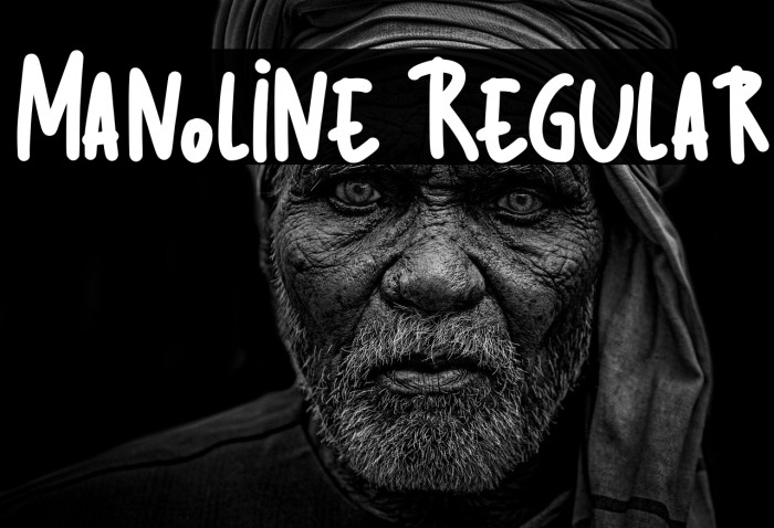 Manoline Regular Example 1