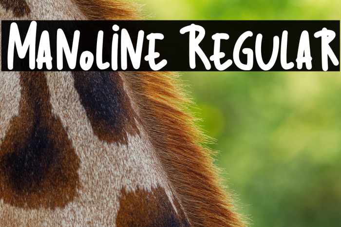 Manoline Regular Example 3