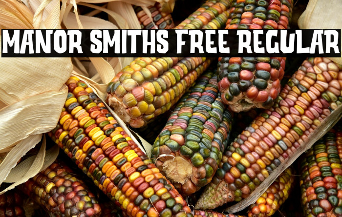 Manor Smiths Free Regular Example 2