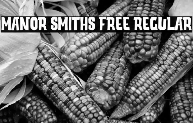 Manor Smiths Free Regular Fuentes examples