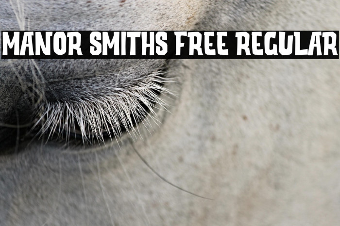 Manor Smiths Free Regular Example 3