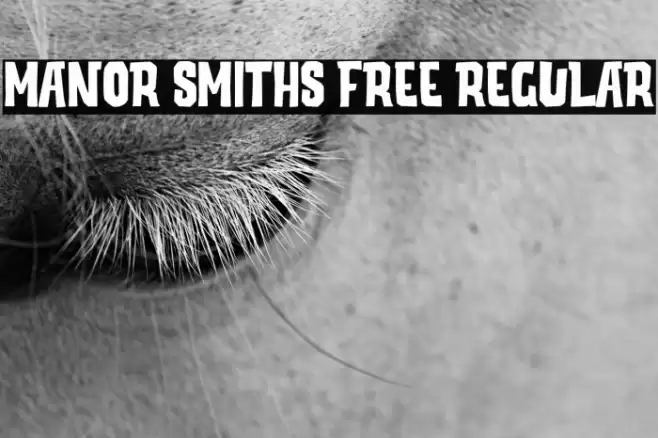 Manor Smiths Free Regular Fuentes examples