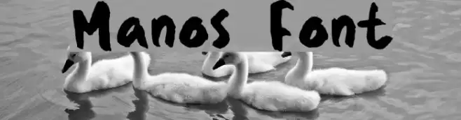 Manos Example 1