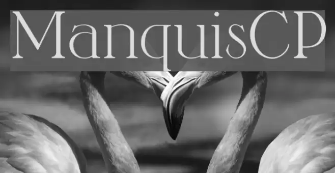ManquisCP Font examples