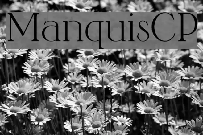 ManquisCP Font examples