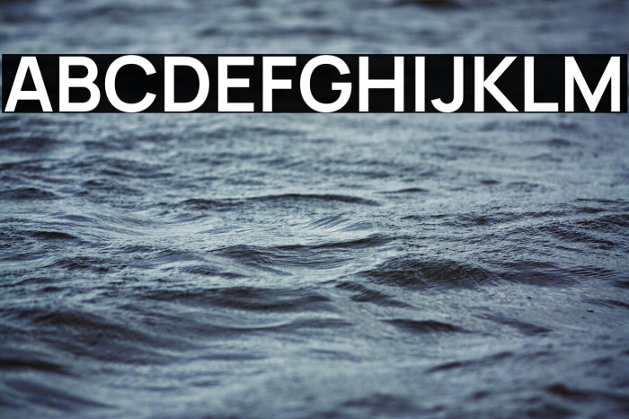 Manrope Bold Example 1