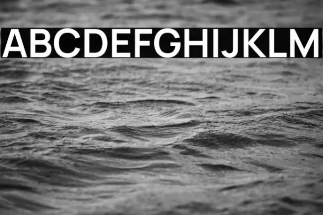 Manrope Bold Font examples