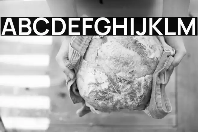 Manrope Bold Font examples