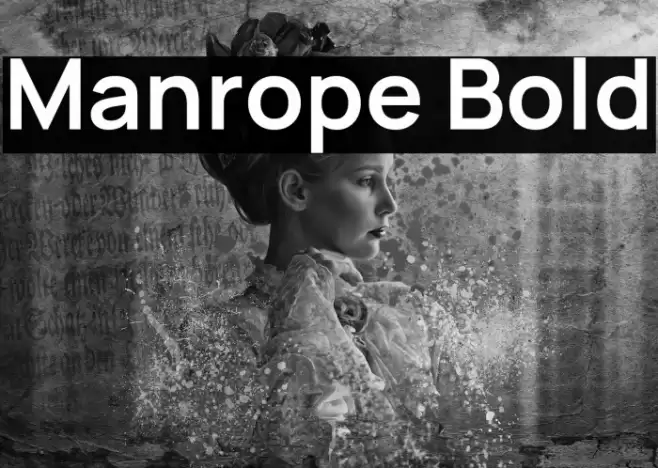 Manrope Bold Font examples