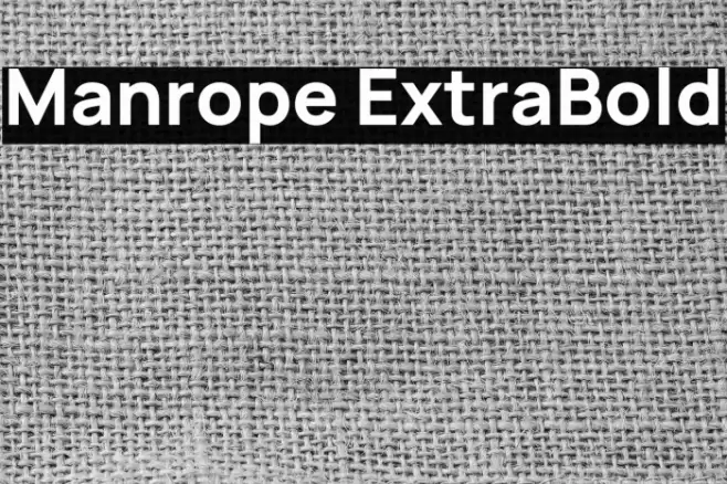Manrope ExtraBold Font examples