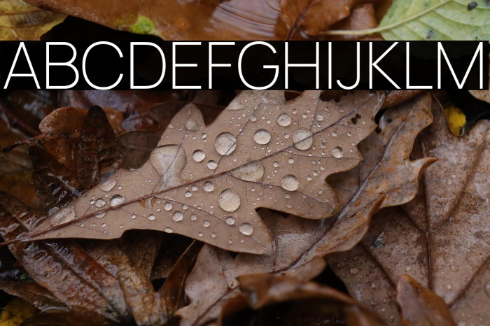 Manrope ExtraLight Example 3