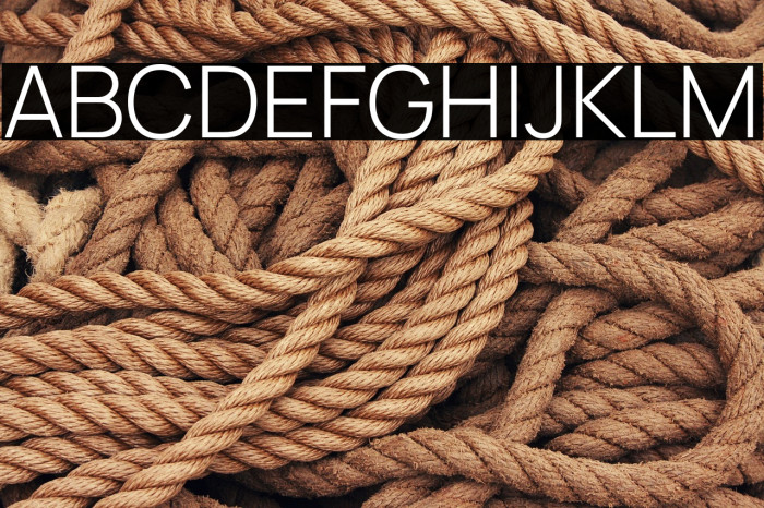 Manrope Light Example 3