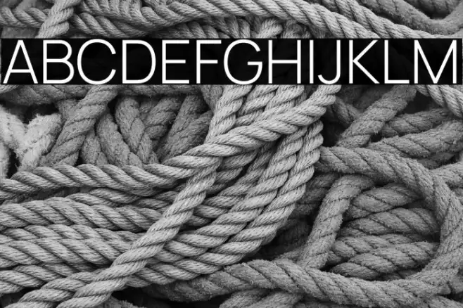 Manrope Light Example 3