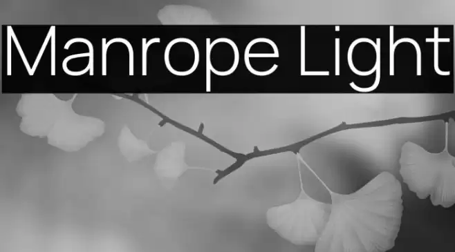 Manrope Light Fonte examples