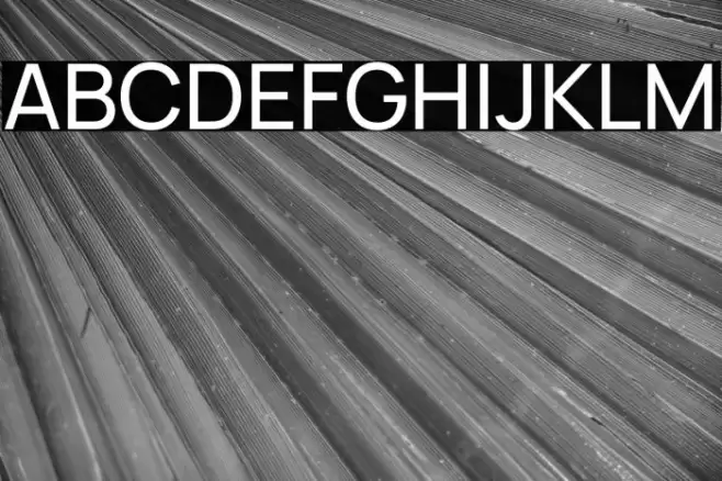 Manrope Medium Font examples