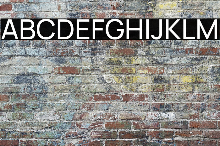 Manrope Medium Example 3