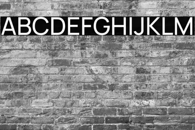 Manrope Medium Font examples