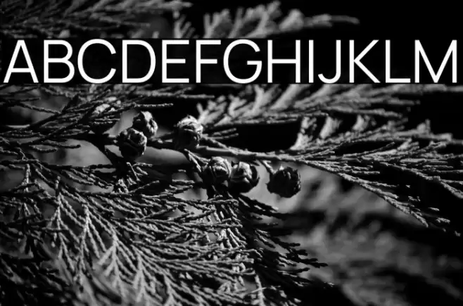 Manrope Regular Font examples