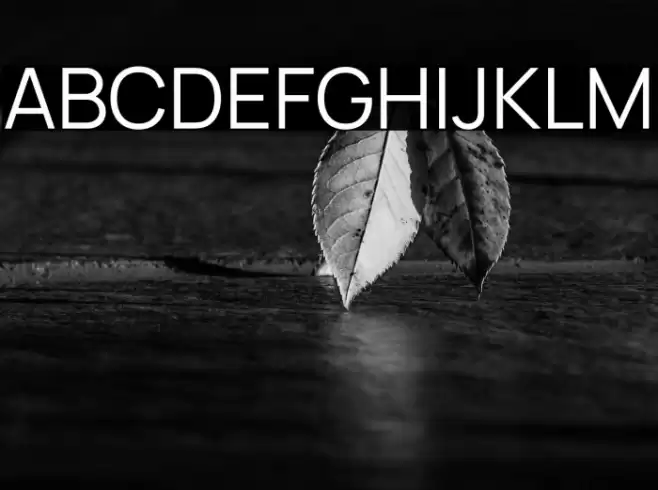 Manrope Regular Font examples