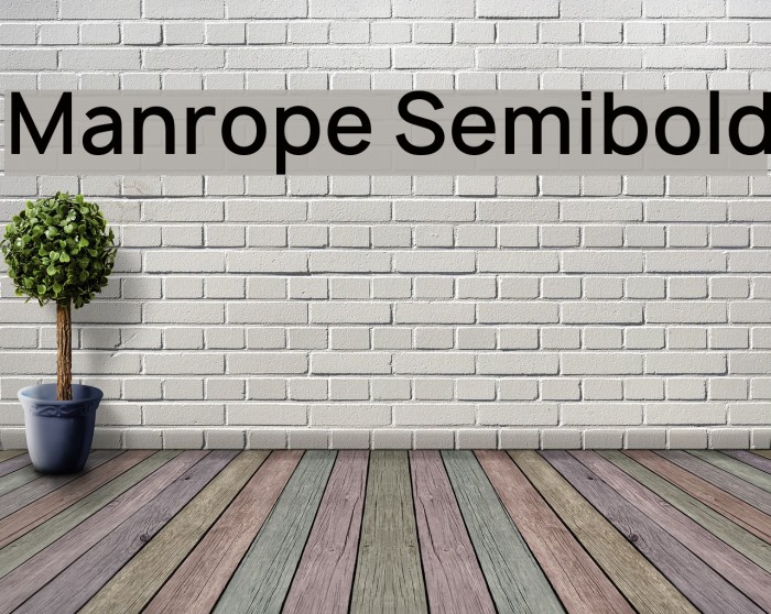 Manrope Semibold Font examples