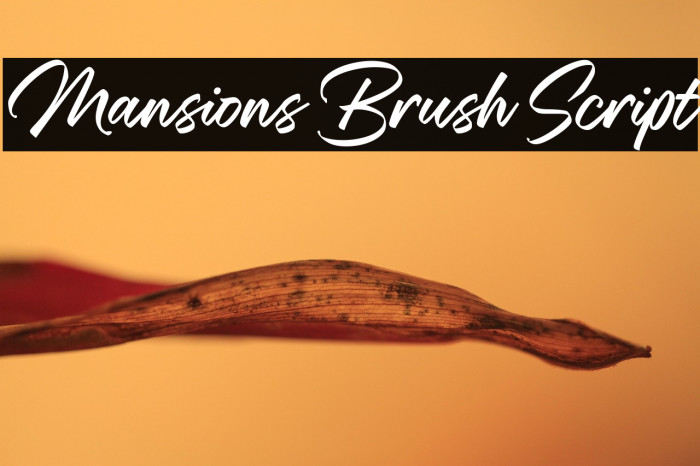 Mansions Brush Script Example 1