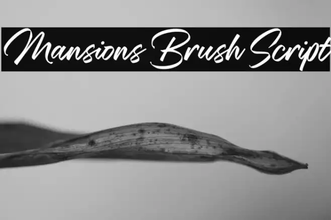 Mansions Brush Script Example 1