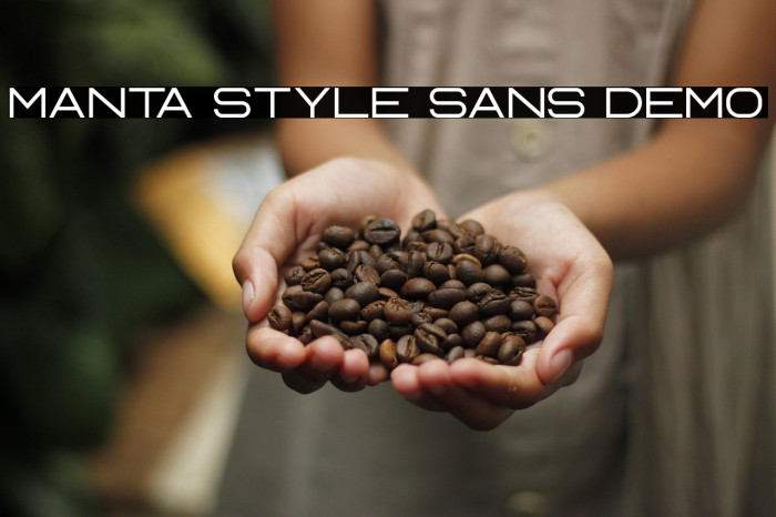 Manta Style Sans DEMO Example 2