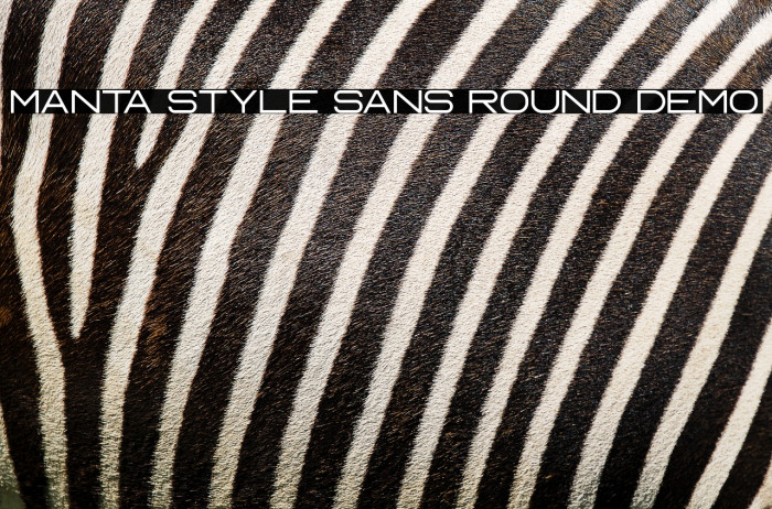 Manta Style Sans Round DEMO Example 2