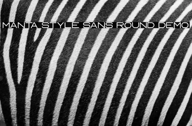 Manta Style Sans Round DEMO Font examples