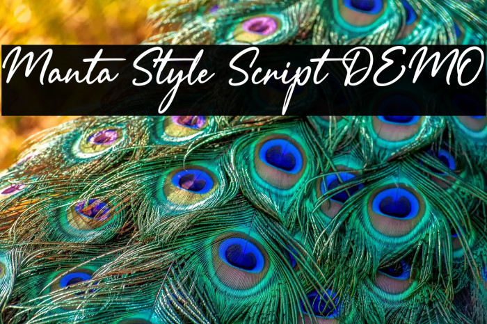 Manta Style Script DEMO Example 2