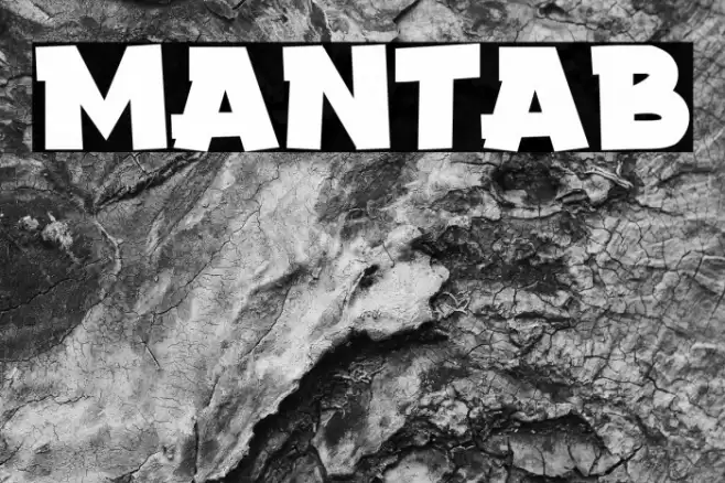 Mantab Font examples