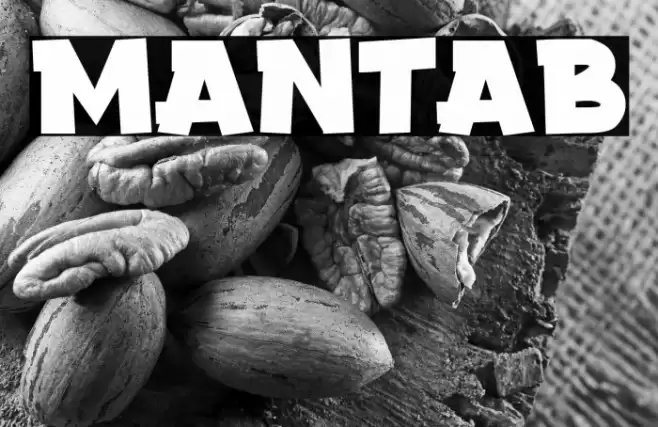 Mantab Font examples