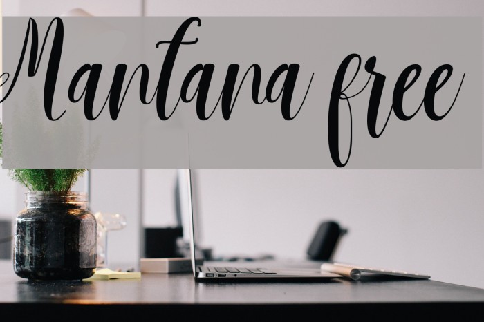 Mantana free Example 3