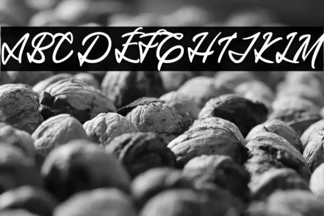 MantarayDEMO Font examples