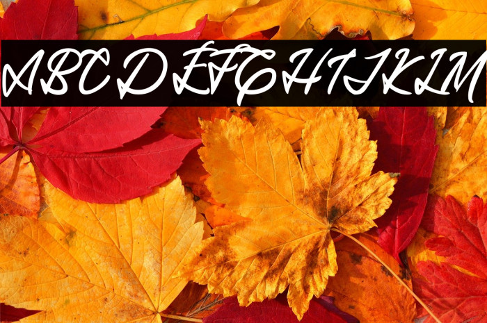 MantarayDEMO Example 2