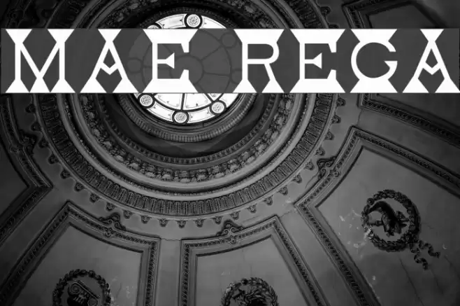 Mantel Regular Font examples